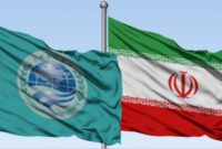 عضویت ایران در سازمان شانگهای در جهت خنثی‌سازی تحریم‌هاست/ اعضای شانگهای می‌توانند نظام‌های پولی متنوعی ایجاد کنند